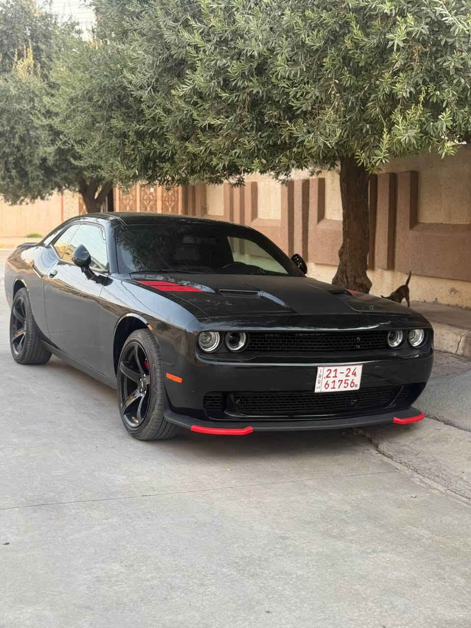 السلام عليكم جالنجر 2023 Sxt
( لون مميز )

مواصفات معروفه بصمه تشغيل بصمه ابواب تشغيل عن بعد لد نهاري 

محرك 3600 مكفول محرك وكير

تبديل قطعتين بلادي 

ماشيه 22 الف سياره ممتعوبه ونضيفه 

صدر جديد تخم تاير  زد جديد سياره جاهزه 

رقم اربيل شرط تحويل  

مكاني كركوك    / ***********

السعر195  وبيه مجال بصيط
