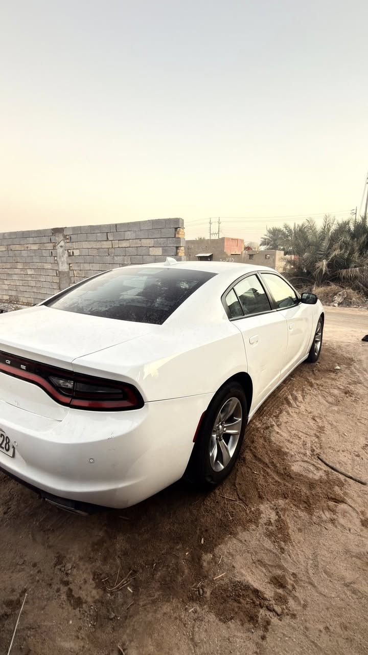 جارجر 23اصل سياره فقط جاملغ مبدل وبيه بارد سياره    نص فول تشغيل عن بعد شاشه جبير كامره  تفاصيل رقم ***********
