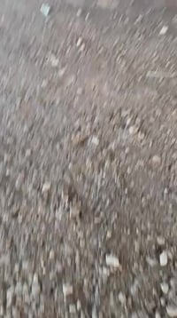 هايلوكس ناصي • ٢٠٢٥ • مرقمه اربيل