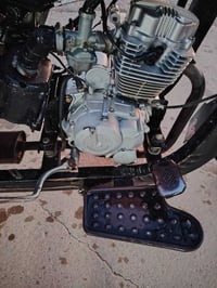 ستوته للبيع  فحل عالي  موديل 2019 اورق كامله  ستوته نضيفه  سعر مليون ا...