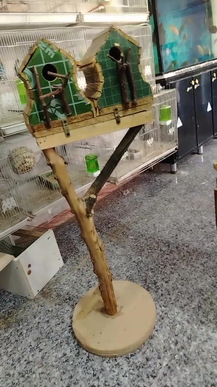 وين جماعت المحميات القطعه ب١٥  ***********
