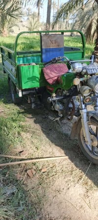 ستوته • موديل 2021 • المسيب