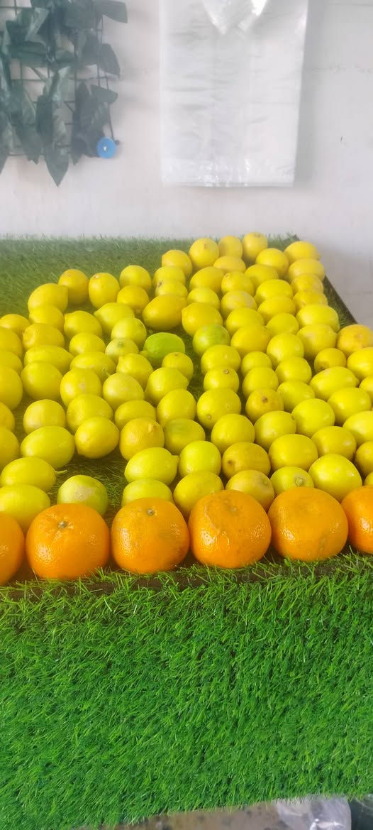 أرخص الأسعار في داقوق حصرا 👍 يوجد توصيل مجاني داخل داقوق حصرا بمناسبة شهر رمضان المبارك


**إذا كنت صاحب هذا الإعلان وتريد حذفه لأي سبب، رجاءا أرسل رسالة إلى الدعم الفني**