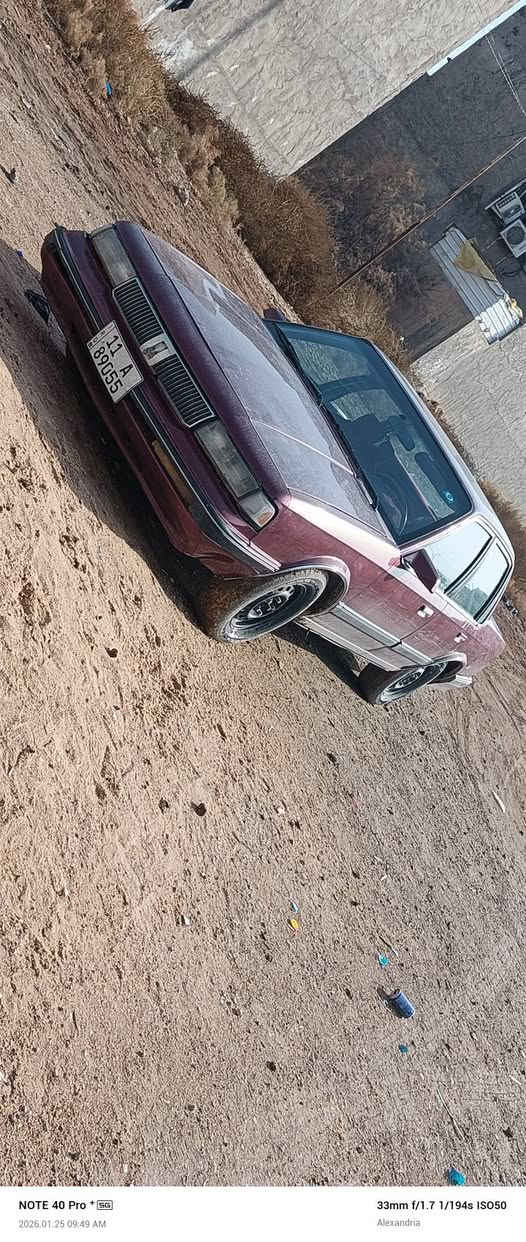 السلام عليكم اولدز موبيل جديده بمعنه الكلمه السياره لا ضربه ولامعجون  صبغ للجماليه فقط
رقم بغداد دولي شرط التحويل
كهربايات كله شغاله شرط ولا كلوب بيه عاطل السياره عله وضع الشركه فقط النمره الرابعه ماتجي ماعرف يولون فيشه اني اليشتري اطي سعر كير كامل وكيره للعلم نمره البقيه زبد مكاني بابل الإسكندرية *********** 
مراوس ترهم السعر 45وبيه مجال للشراي
