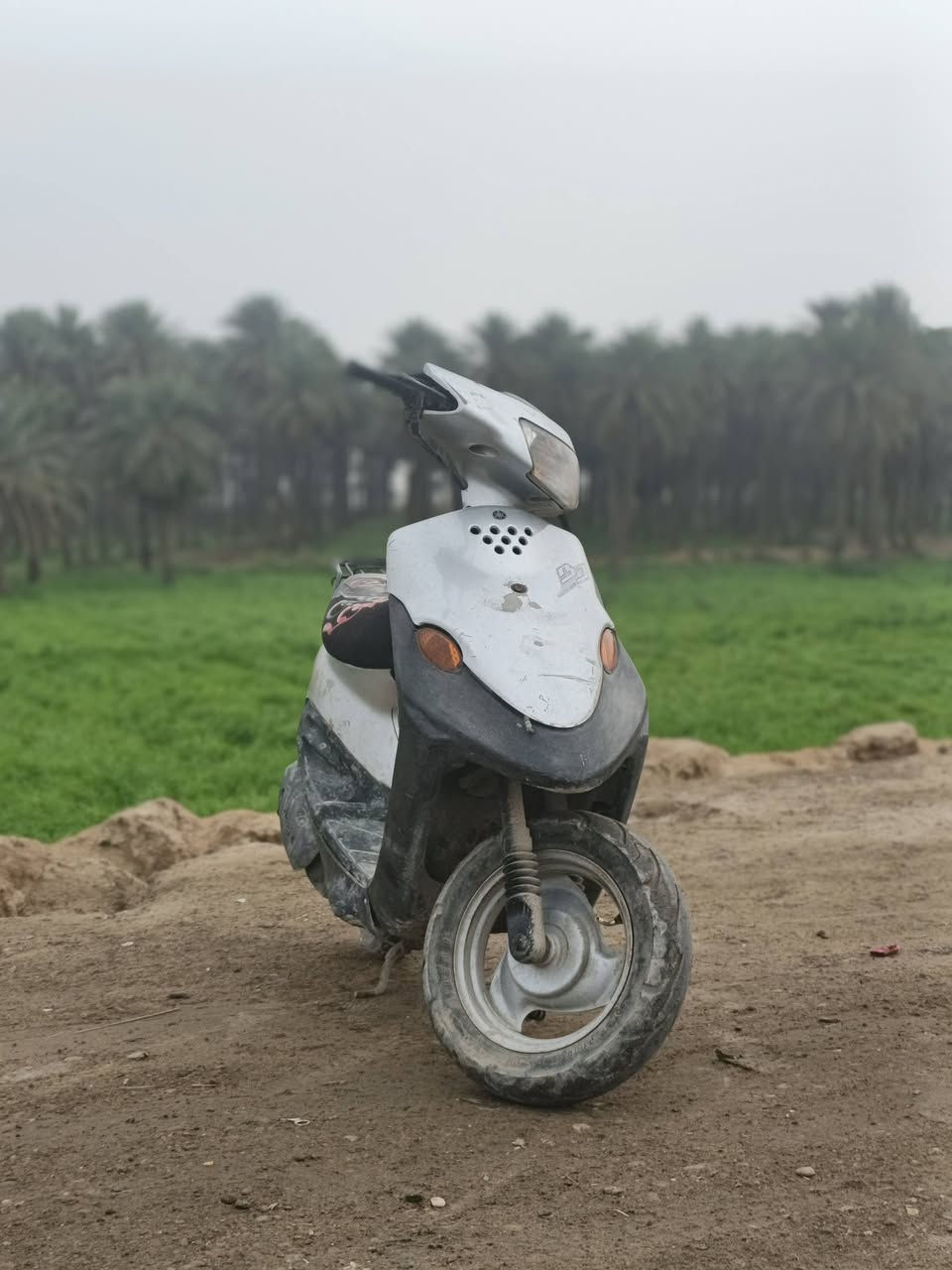 دراجة بيجي للبيع السعر 250 وبيها مجال للشراي مكاني بغداد الامين الثانية رقمي ***********
