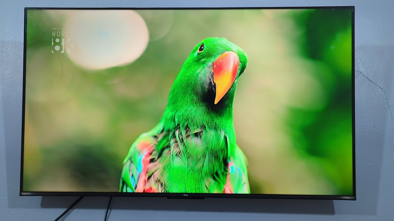 سلام عليكم شاشه تي سي ال حجم 55 فوركي حقيقي الوان تخبل صوت استريو دولبي اتمس صوت استريو مضخم نضامه كوكل تيفي ستلايت دخلي ريمونت ناطق  شاشه لوك مكفوله من تصليح شي نضافه فول مكاني بغداد وره سيطرت الشعب رقمي *********** سعر425
