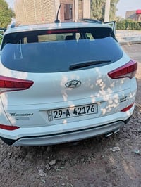 توسان • ٢٠١٧ • وارد امريكي