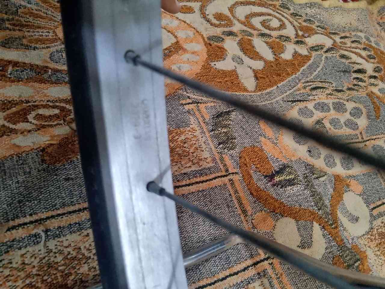 السلام عليكم بيسكل ياباني باله ٢٠٢٠ العنوان كربلاء قرب مستشفى الحسين السعر٩٠وبي مجال للستفسار ***********
