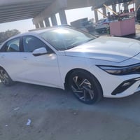 النترا فول • ٢٠٢٤ • كربلاء