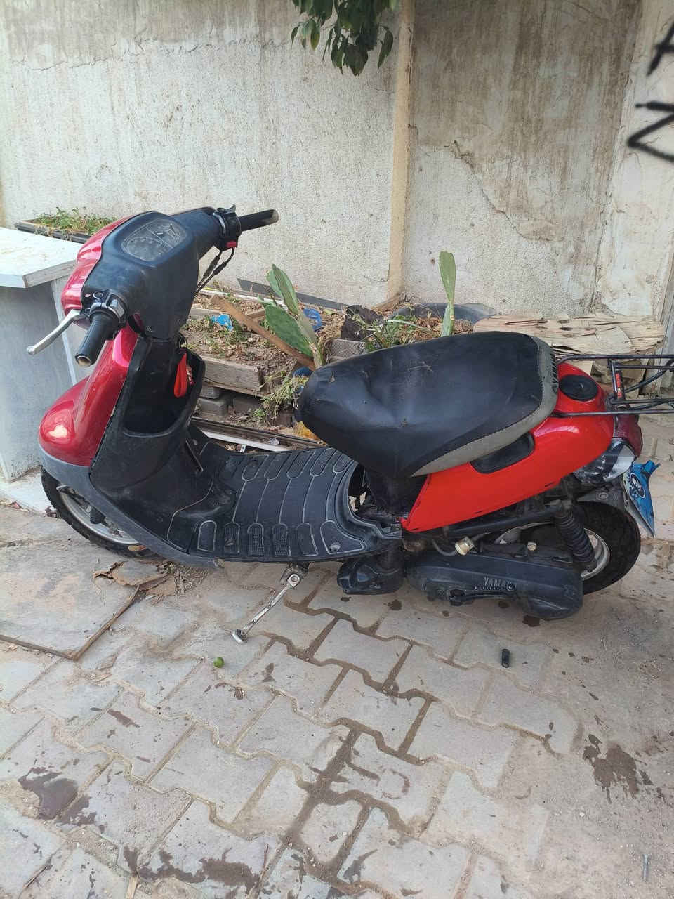 السلام عليكم دراجه بطه موديل 2003 السعر 200 وبيه مجال ***********
دبل سكليتر
قفل ستيرن يشتغل
مكينه حلوه شلعه تخبل 
بس بيه صوت بل اكسن الدراجه مثل ما شوفه حلوه كفرات جدد نقص بس صفاحيات وحاضن
