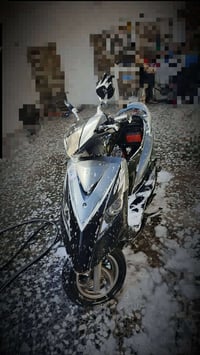 دراجة ثعلب • جديدة • بغداد