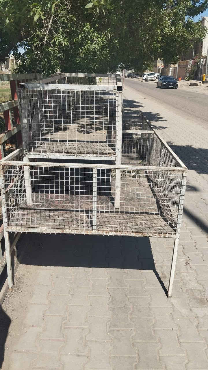 اقفاص دجاج للبيع ثنين شراي بخدمته سعرهن ،250 وهذا رقمي ***********
