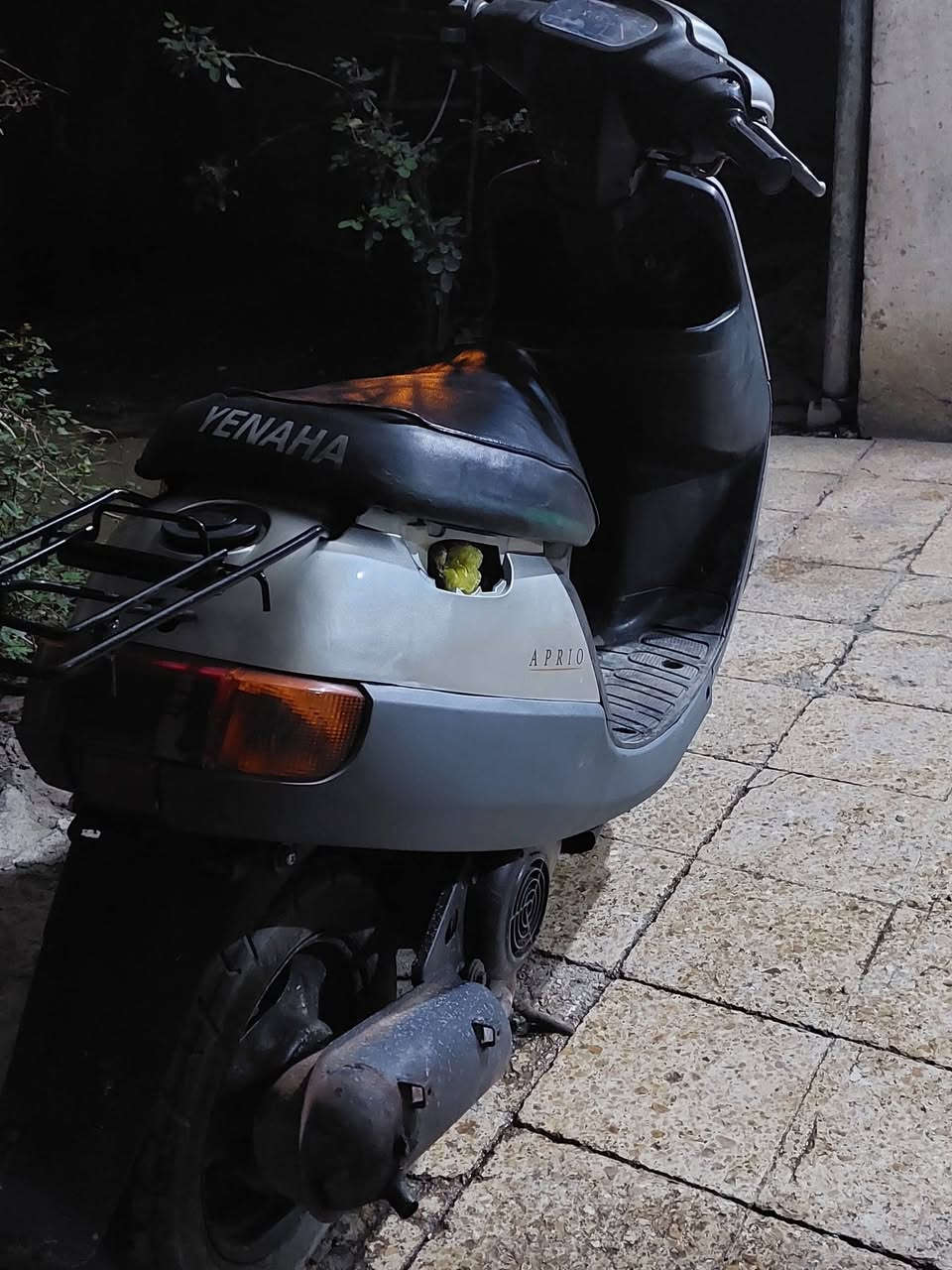 ماطور بوتين معمر مرا واحده ماطور نضيف تحريكه معدل فول اشاير لايت هورن كلها شغاله سلف يرادلو باتري سعر 200 وبي مجال ***********
