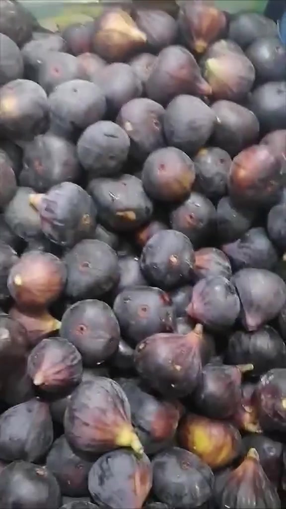 الهم صل علئ نبينا محمد آله 🌸 

#تين درجة أولى 

العنوان الديوانية حي العسكري الصدر الثاني فلكة العلماء قرب فرن بركات الزهراء 

 يوجد لدينا خدمة توصيل  بسرع وقت اطلب الآن من هابير آدم  للحجز الواتساب ***********🌸🌿
