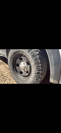 اخوان عندي تخم ويل بوليسي حجم 17 بلادي للكلاسك  للبيع  بسعر مناسب   07...