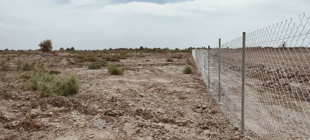 السلام عليكم.. ارض زراعية للبيع منطقة السورة.. الجلاع... المساحة 5 دونم عليها نهرين من اليمين واليسار شارع 6 متر ارض عاليه للزراعه للأستفسار ***********

