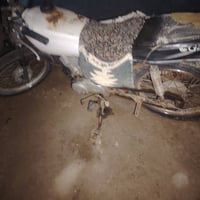 كربلاء • موديل 15 • اوراق سوري