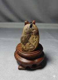 هبهاب افريقي • قديم • اكسسوار