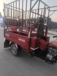 ستوته • مرقمه سنوية • موديل 2021