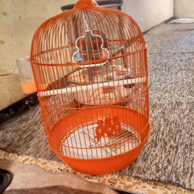 غراض للبيع


**إذا كنت صاحب هذا الإعلان وتريد حذفه لأي سبب، رجاءا أرسل رسالة إلى الدعم الفني**