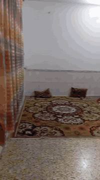 السلام عليكم بيت مساحه 128متر طابقين البناء خلفي المنطقه دور العمال يتكون الطابق الارضي من
-صحيات -وستقبال -وهول -ومطبخ-وحمام-وترك

الطابق الثاني-غرفتان نوم-وصحيات-السعر 120وبي مجال 
للستفسار ***********
