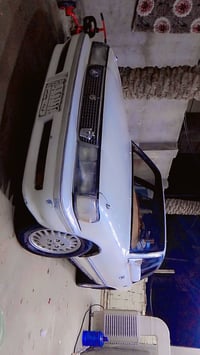 ١٩٩١ • صبغ عام • رقم كربلاء