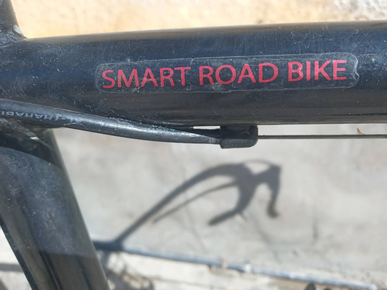 حجمه c700 على ٢٨
تاير رفيع 
المنيوم بلكامل
قياس الفريم s ٥٠cm
مكينه ٧ خلفي و صينيه امامي ٣
كله سيستم شيمانوا
البايك كله على وضع البلاد ممبدل بي اي شي 
سعره ١٠٠ الف
نقصه بس جاملغ امامي 
مكان  بغداد مقابل  دائره مرور الحسينيه مال راشديه 
للتواصل ***********
مراوس حسب القناعه
