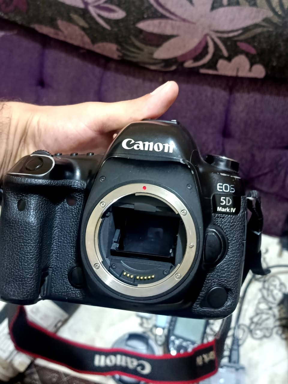 السلام عليكم 👋
 للبيع   🔴 ( بدي كانون  5D mark 4 ) نضيفه جداً 
ملحقات كامله/ 

🔴  عدسه 24_105 mm 
🔴  عدسه ثانيه رياضي  70_200  فتحه 2_8  الاصدار الثاني ستابلايزر
🔴  بطاريات عدد 5 
🔴  رام 16 GB 
🔴  توصيلة نقل الصور للتلفون
🔴  فلاش خارجي
🔴  شاحنه 
🔴  جنطه + حزام 
للاستفسار التواصل ع الخاص او الاتصال ع الرقم  ***********          بابل
