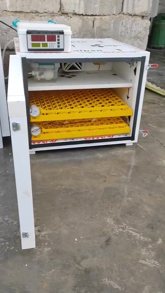 السلام عليكم
اخواني متاح فقاسة + حاضنة صناعة

 المزارع السعيد نسبة تفقيس خير من الله 200 بيضة 

ثنينهن ب450 اليدور مال ميت ليراسلني  الي ايريدهن عنواني

 ديالى المقدادية جسر مهروتة


**إذا كنت صاحب هذا الإعلان وتريد حذفه لأي سبب، رجاءا أرسل رسالة إلى الدعم الفني**