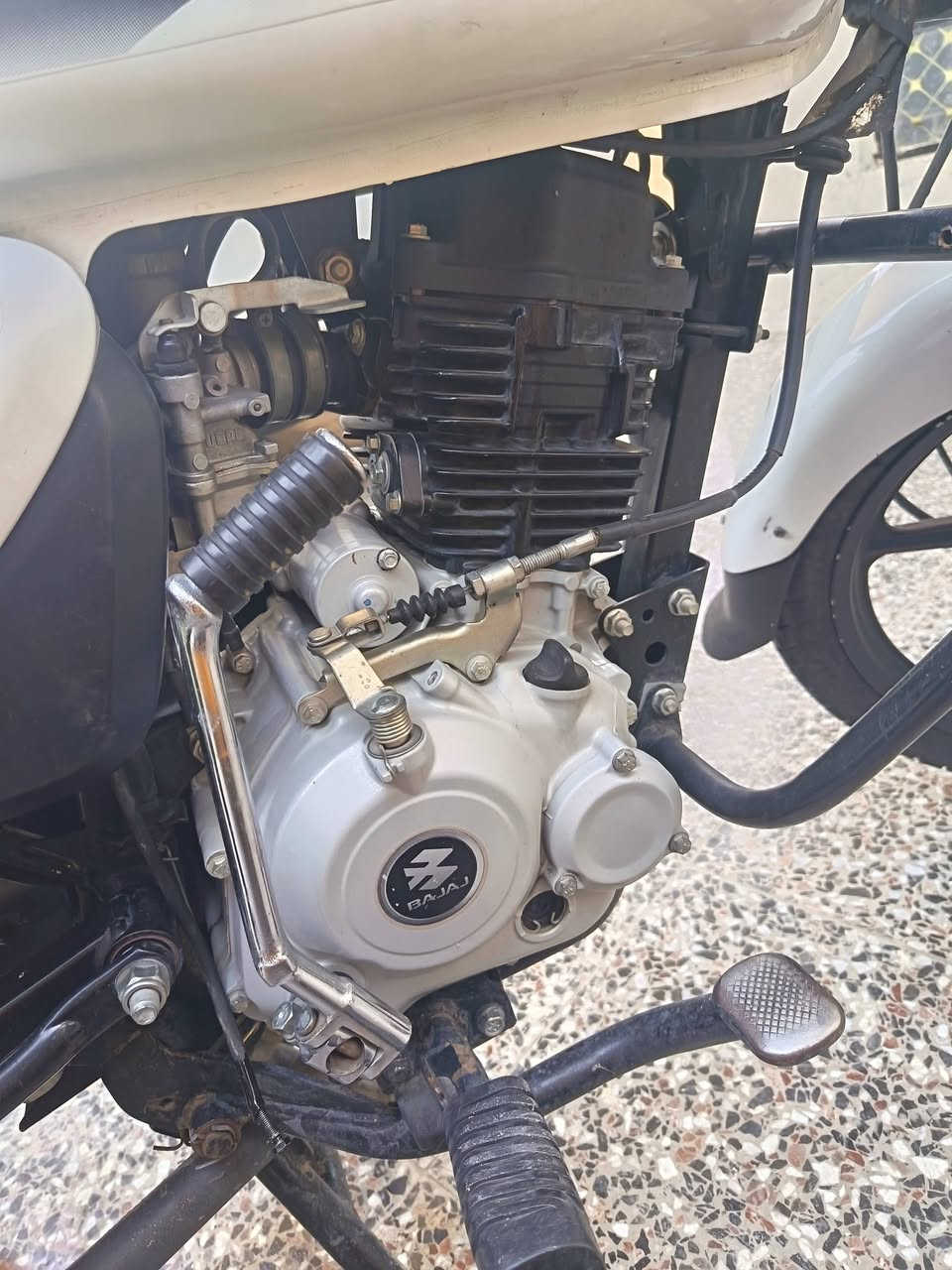 سلام عليكم دراجه بوكسر موديل 2022 دراجه كفاله مكينه مامفتوحه  وكشر وشاصي  مكفولات رقم ديالئ الانكليزي ب أسمي الدراجه تحويل ثاني يوم مشروع وطني الدراجه رقم الجديد السعرر 1950وبيه مجال قليل حك الجيه مكاني بغداد الحسينيه الراشديه  ‍*********** واتساب هم موجود
