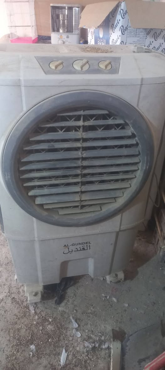 مبرده شغاله سعره 100 عنوان مدينه الصدر دسيم ***********
