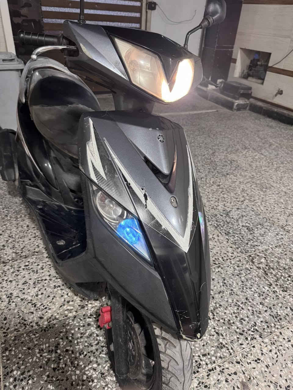 ماكس ثعلب سعرها 550 الف رقم *********** غير متواجد عل فيس مكانها بغداد الشعب شارع الصحه
