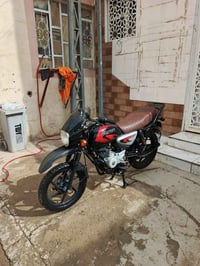 بوكسر جبلي • موديل 2023 • أوراق أصلية