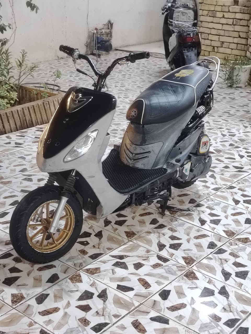 للبيع ماكس منغولي مفتوحه 55 شلعه ومعدل غراض كامله سعر 500 شراي خاص


**إذا كنت صاحب هذا الإعلان وتريد حذفه لأي سبب، رجاءا أرسل رسالة إلى الدعم الفني**