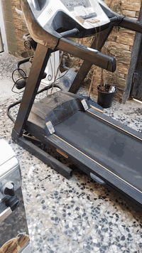 جهاز جري جبلي +تكسير دهون بطن للبيع مكان بغداد حي الكوفه مقابل ام الكبر الغزلان نهايته ١٨٠

***********
