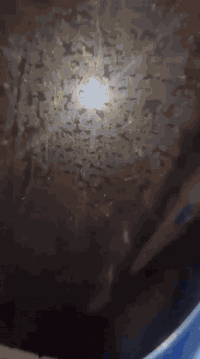 سلام عليكم 📌📌📌📌
بطح كاوسكي محرك(636)الدراجه خير من الله شوفت عينك نضافه فول دراجه مكفوله قبل فتره شتريتهه ومتروكه لين اشتغل دلفري وتاركهه دراجه(مصبوغه) (جماليه)(💙💙🔵🔵)مكاني بغداد جديده الأمين الثانيه رقمي (***********)تحياتي الكم 🇮🇶
