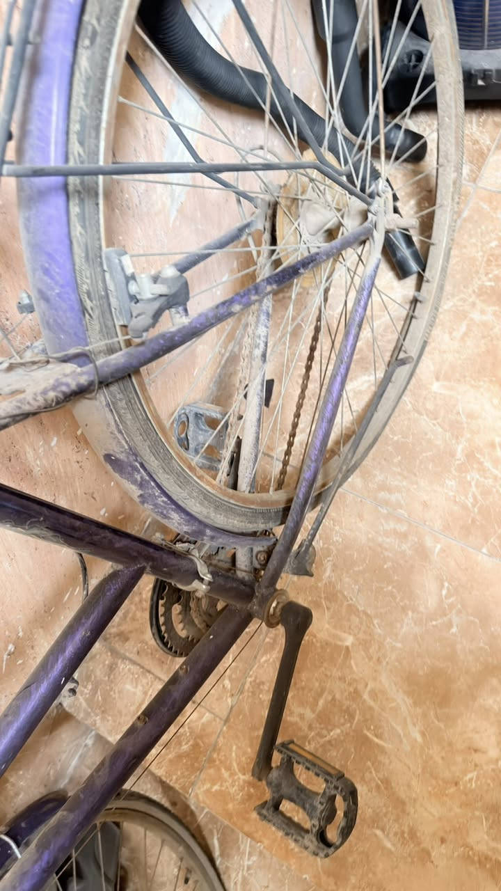 للبيع سعره 70 الف متروك بالسطح فقط ينغسل يرجع طبيعي العنوان حريه ثانيه مقابيل دائره الكهرباء


**إذا كنت صاحب هذا الإعلان وتريد حذفه لأي سبب، رجاءا أرسل رسالة إلى الدعم الفني**