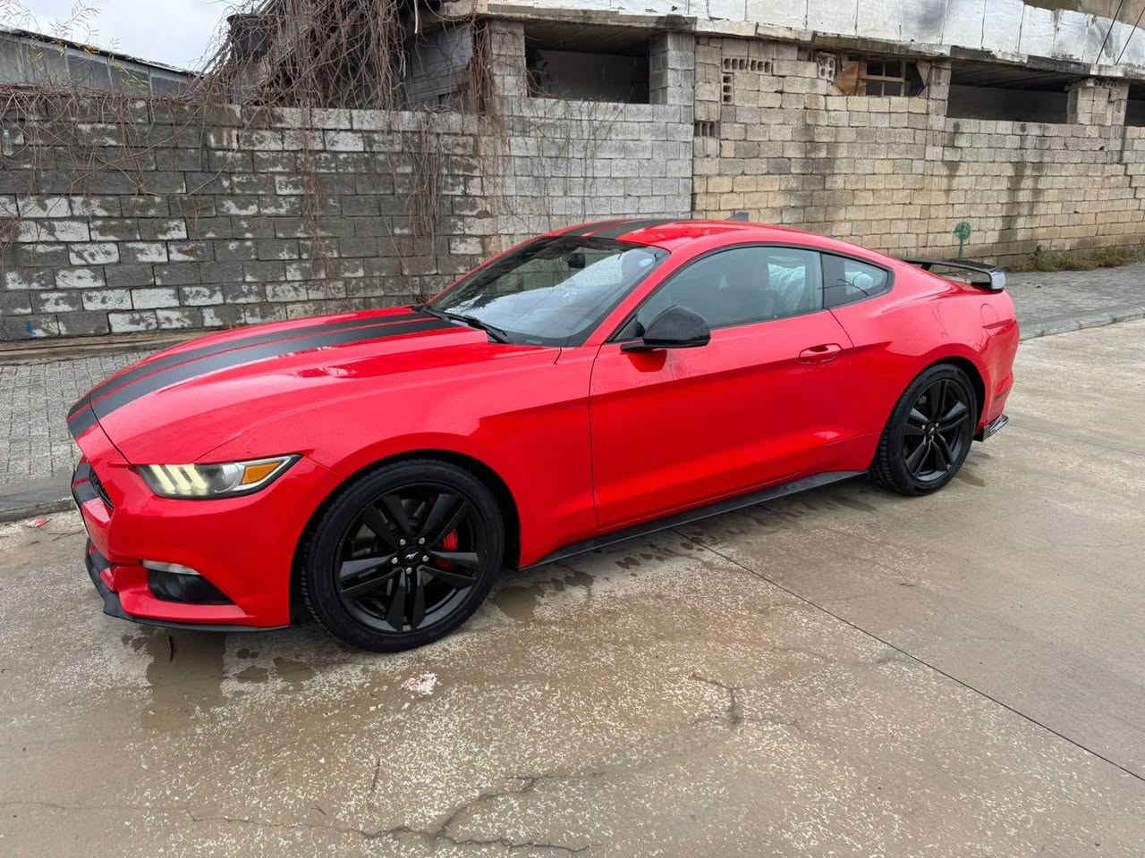 فۆرد مۆستانگ بۆ فرۆشتن 2015 ecoboost
سەنەوی تازە تا ۲٠۳٠
گێر و مەکینە بە شەرت
فولل جوانکاری یەکێک لە جوانترین مۆستانگەکانی کوردستان
سفری شەریکەی نیڤایە 
ماشەڵای ئەوێ لە جوانی
بێ بۆیاخ
110مایل ڕۆشتووە
کوشن کارەبا ۳مۆدی سوکان 
باتل شەفت
دەرگا لەمس هتد
نرخی ۱۳۳ گەلا مەجالێکی زۆر کەم
*********** السليمانية, العراق
