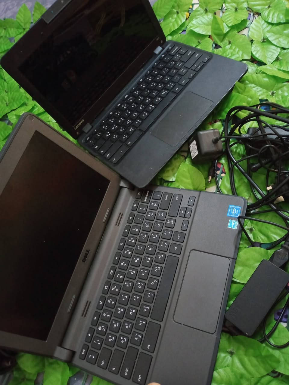 السلام عليكم حاسبه عدد 2بل كارتونه ممستخدمات ماعرف اي تفاصيل عنهن الي يريدهن يتصل برقم ويجي يشوفهن‏‪***********‬‏  مسيب صوب البحمدان خلف المدرسه الحمدانيه سعر الوحده 50
