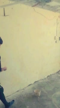 صباغ • متفرغ • رميثئ