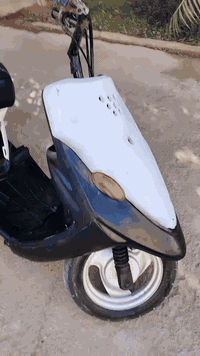 ذبانه البيع 9 زروف مامفتوحه سعر 200 وبيه مجال قليل 07812376712