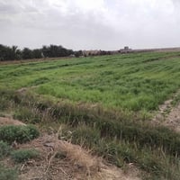 ١٠ دوانم ونص • واجهه شارع • شاطيه نهر الغراف