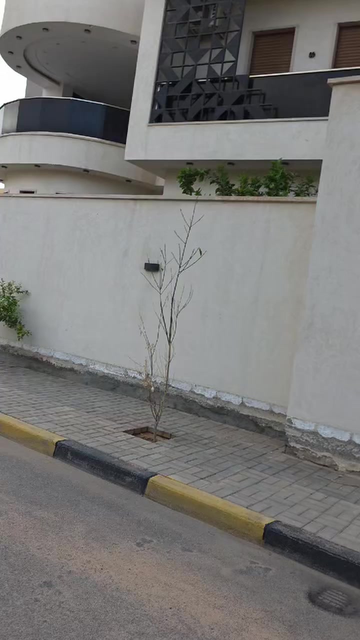 عرض ممتاز تويوتا كامري 2018 درجة أولى جمرك رسالة مفتوحة يابانية أصليه استيراد أمريكي سليمة #مكان_طرابلس_وسط_البلد #رقم_الهاتف_0934843074 #سعرها_76الف_دينار بصمة شاشة كاميرا من الخلف تحديد مسار حساسات خلفيه ماشيه 54 الف ميل اي استفسار اتصال الرقم 0934843074 سعرها 76 الف دينار


**إذا كنت صاحب هذا الإعلان وتريد حذفه لأي سبب، رجاءا أرسل رسالة إلى الدعم الفني**