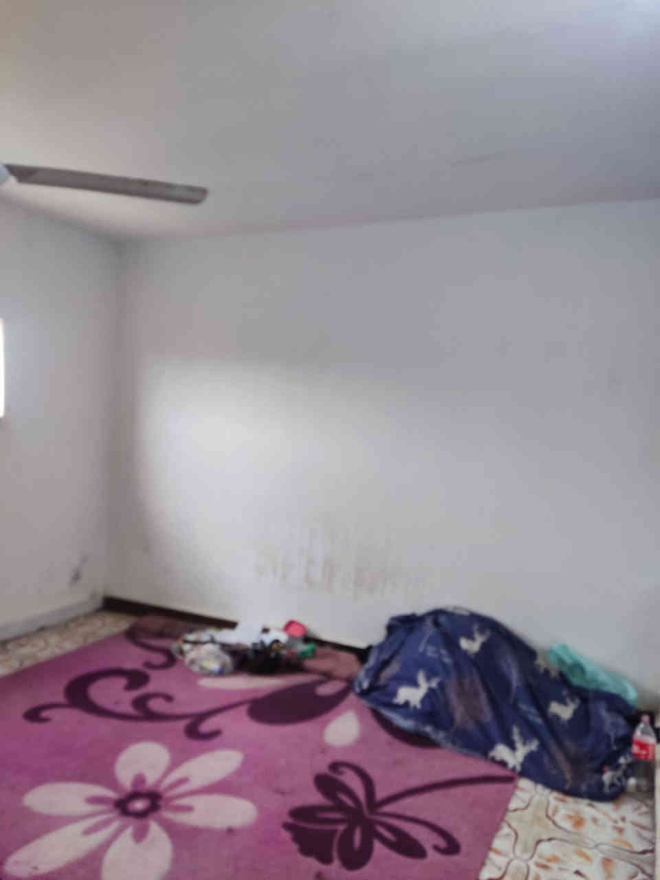 توكل على الله
بيت طابقين طابو صرف كرمه بني سعيد 
غرفه 5 وهول وديوانيه وكراج وساحة وصحيات خارجية وصحيات داخلية ومطبخ 
المساحه 225م
البناء طابوك السقف شيلمان 
السعر مناسب 85 مليون بيه مجال 
مراسله الصفحه او الاتصال على الرقمي ***********
***********
