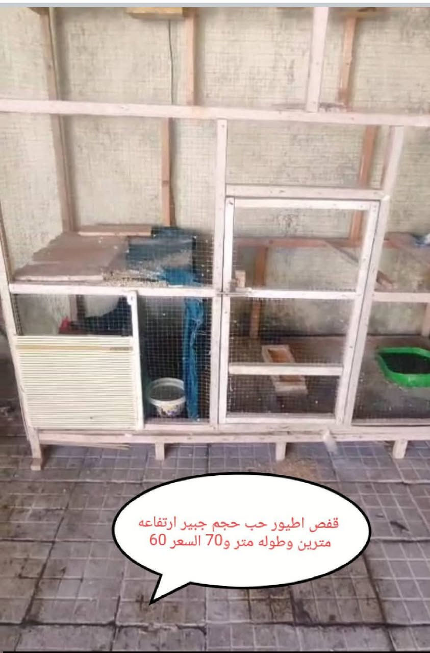 من رخصة الادمن غراض باله كويت شرط الشغل يوجد توصيل *********** البصرة, العراق
