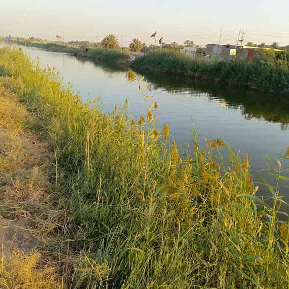 للبيع 5 دوانم واجهه 65م ع شط الدغاره مباشر سند 25 بيها ماطور عدد 2 واجهه ع الشط تبعد كيلو ونص ع سوق الدغاره
***********
