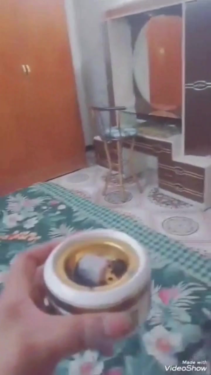 سلام عليكم كنتور 6 بوب صاج داخل خارج مو سوكي نجار تكمه لضهر خشب الكنتور ثقيل باب طويله 230 ملحقات داخليه مكانه الدورة البعيثه السعر 350 بي مجال هذه شكله لان مفصخ تحولت طلع كبير ع الغرفه أمانه نضيف


**إذا كنت صاحب هذا الإعلان وتريد حذفه لأي سبب، رجاءا أرسل رسالة إلى الدعم الفني**