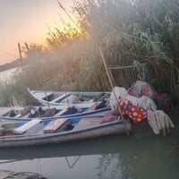 مكينه ام ١٨ • جينكوه ١٣ ضراع