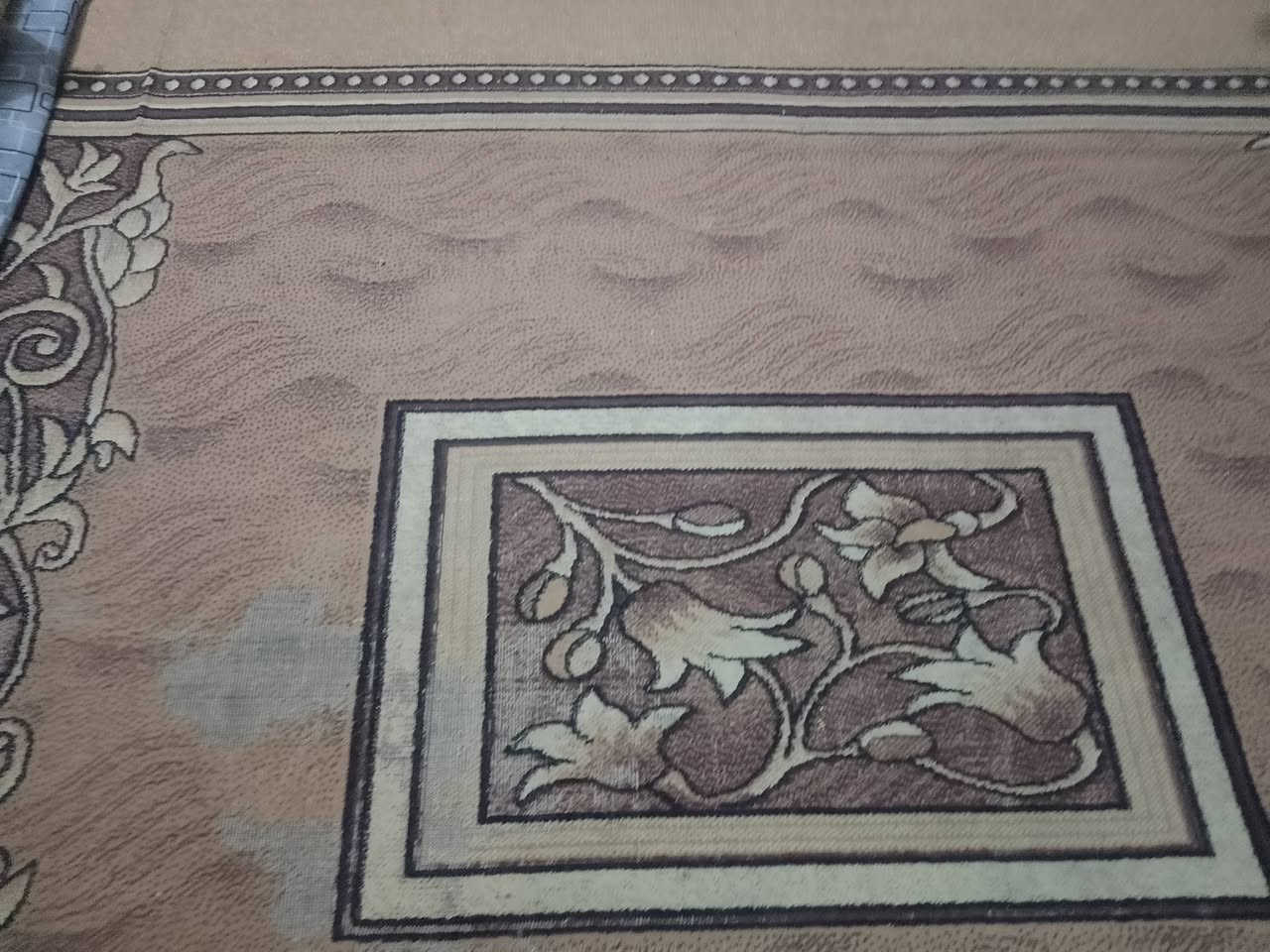 السلام عليكم
زوالي عدد 3 للبيع كل وحدة ب 5 
عنوان فلوجة حي شهداء قرب جامع الشمري 
***********
