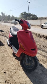 دراجة فراشة • فول كلشي • بابل الحمزه الغربي